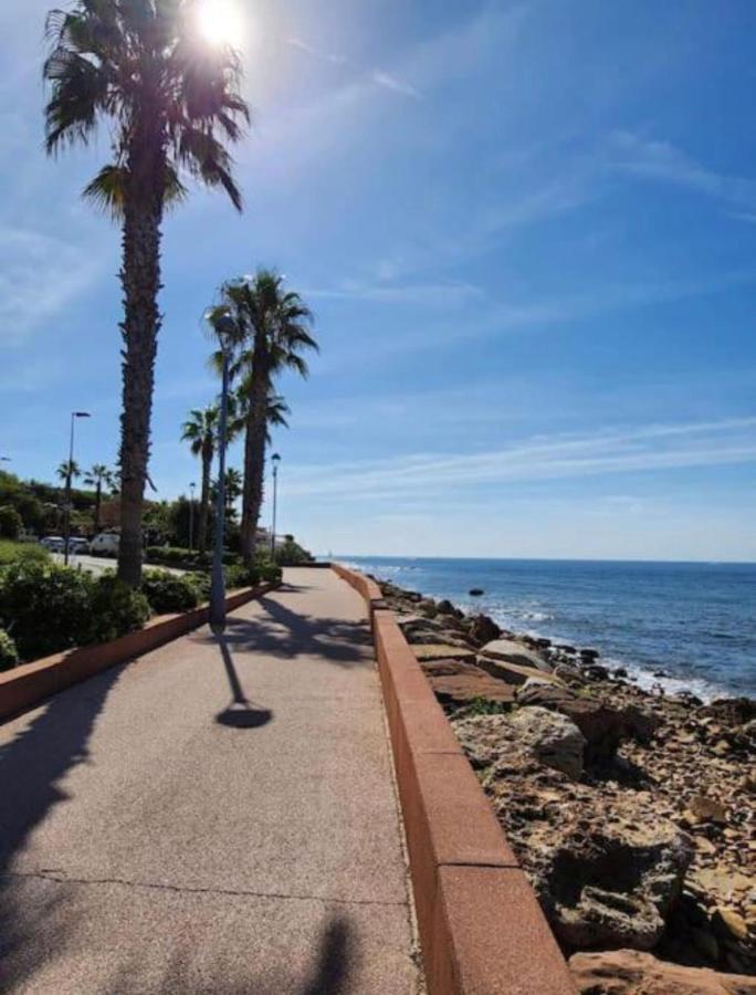 Studio Climatise Avec Jardin Et Plage A 250M Saint-Mandrier-sur-Mer Bagian luar foto